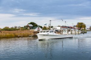 Tilghman Island Waterman