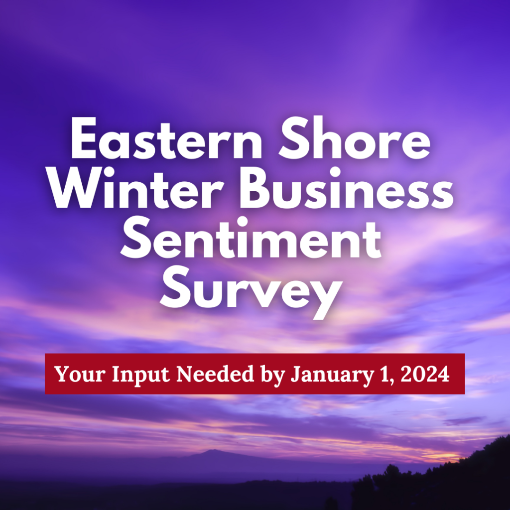Business Sentiment Survey