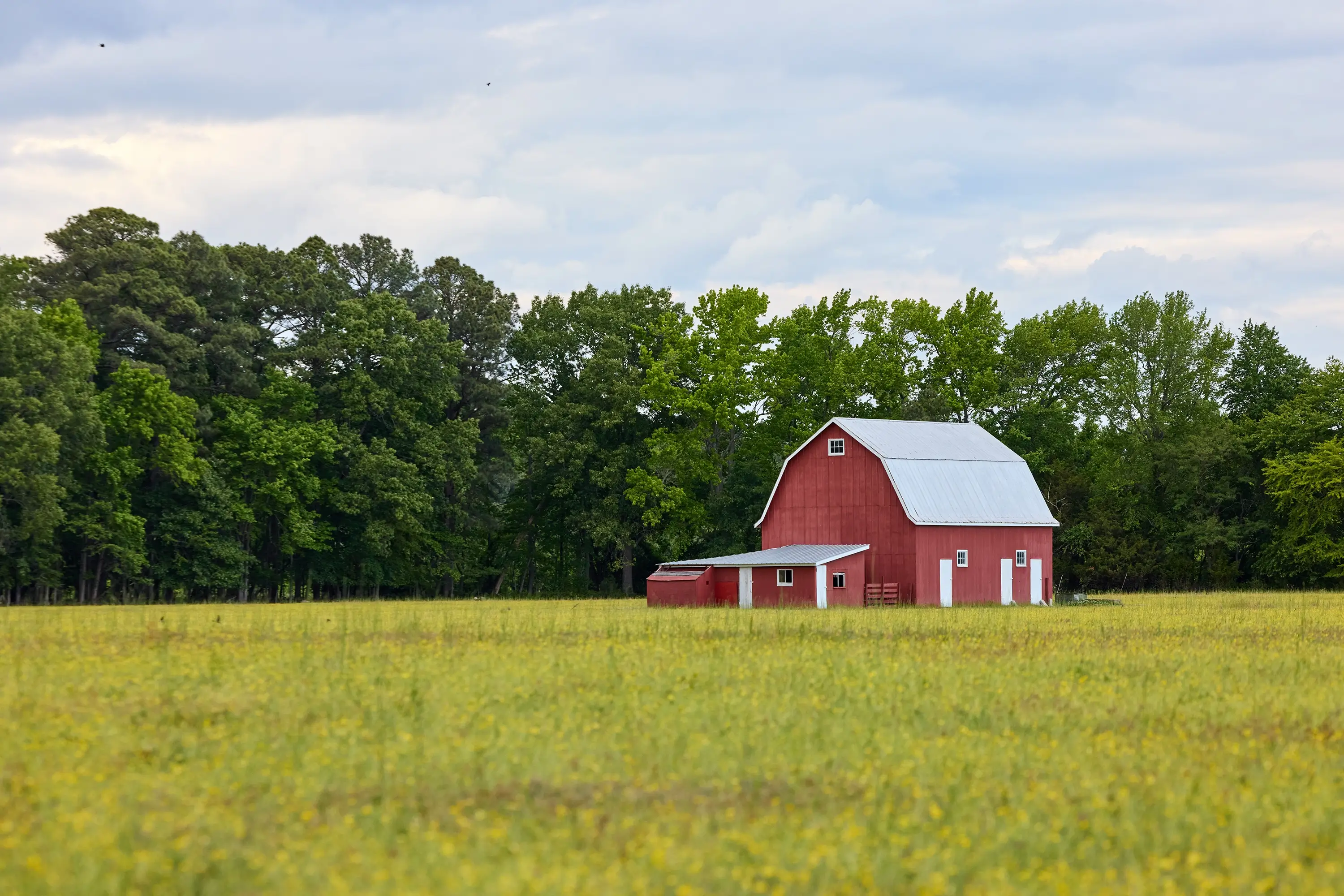 A barn in a field